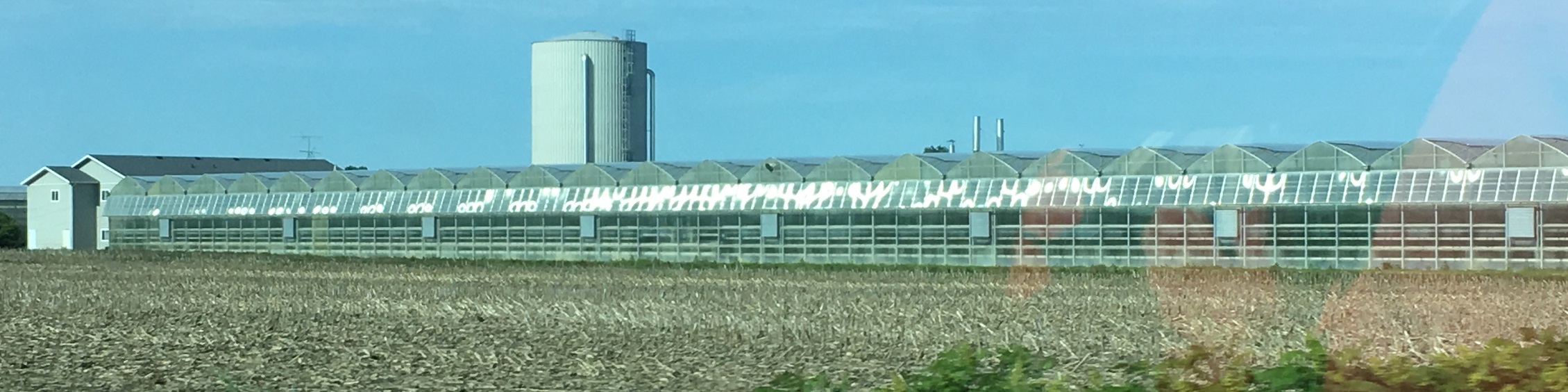 A massive commercial greenhouse complex in Leamington, Ontario, stretching across the horizon behind a harvested field under a clear blue sky